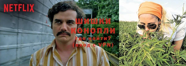 меф Дмитриев