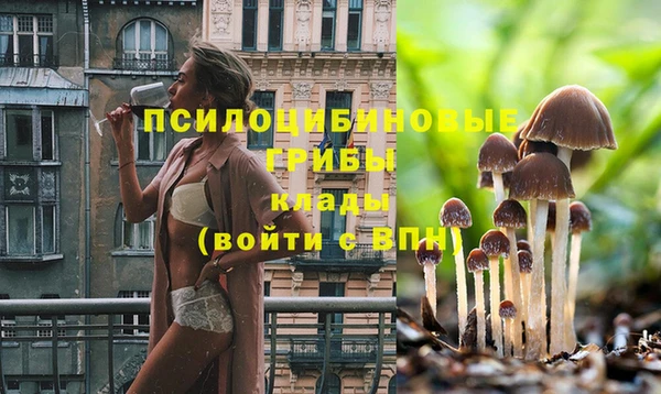 apvp Фёдоровский